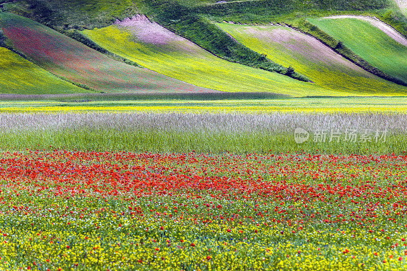 Piano Grande di Castelluccio(意大利)，绿色山丘上的村庄